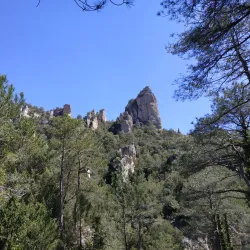 Castellón Natural Park (Parque Natural de la Tinença de Benifassà) - Morella