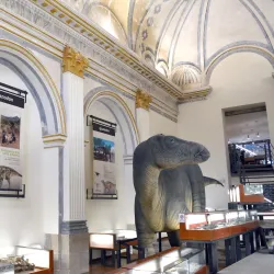 Morella Museum - Morella