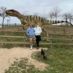 Morella Museum - Morella