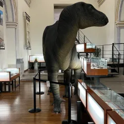 Morella Museum - Morella