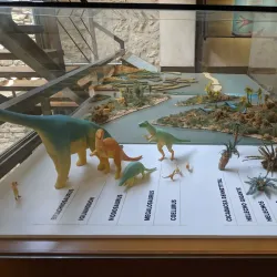 Morella Museum - Morella