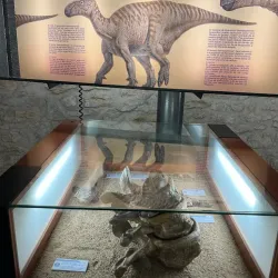 Morella Museum - Morella