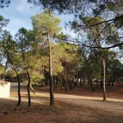 Historic Town Center - Motilla del Palancar