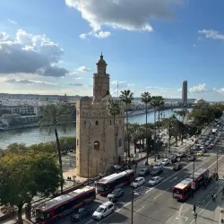 Local Gastronomy Experiences - Motilla del Palancar