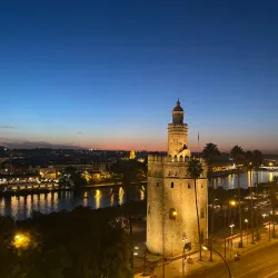 Local Gastronomy Experiences - Motilla del Palancar