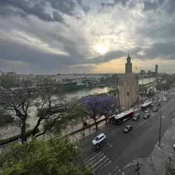 Local Gastronomy Experiences - Motilla del Palancar