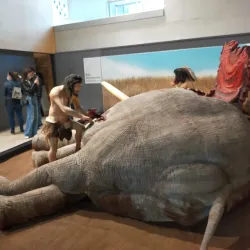 Local Museum of Motilla del Palancar - Motilla del Palancar