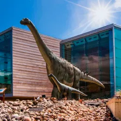 Local Museum of Motilla del Palancar - Motilla del Palancar