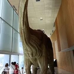 Local Museum of Motilla del Palancar - Motilla del Palancar