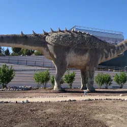 Local Museum of Motilla del Palancar - Motilla del Palancar