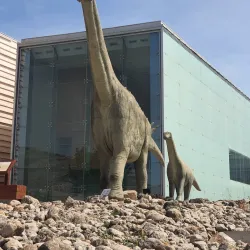 Local Museum of Motilla del Palancar - Motilla del Palancar