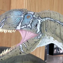 Local Museum of Motilla del Palancar - Motilla del Palancar