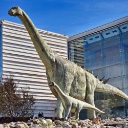 Local Museum of Motilla del Palancar - Motilla del Palancar