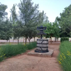 Parque Municipal - Motilla del Palancar