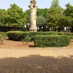 Parque Municipal - Motilla del Palancar