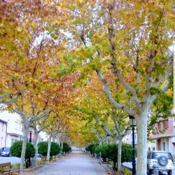 Parque Municipal - Motilla del Palancar