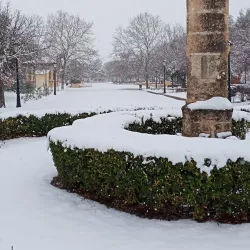 Parque Municipal - Motilla del Palancar