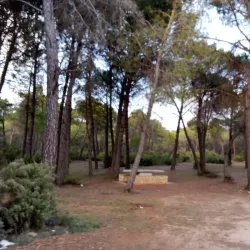 Surrounding Countryside and Hiking Trails - Motilla del Palancar