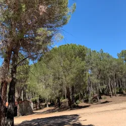 Surrounding Countryside and Hiking Trails - Motilla del Palancar