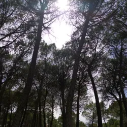 Surrounding Countryside and Hiking Trails - Motilla del Palancar