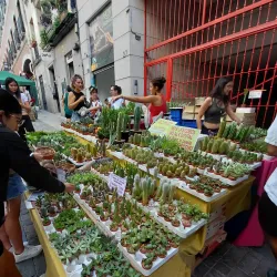 Traditional Local Markets - Motilla del Palancar