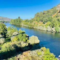 Termas Outariz - Ourense (Ourense)