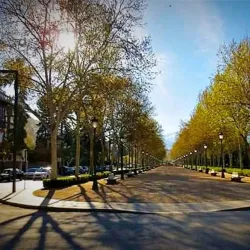 Fuente de los Leones - Palencia