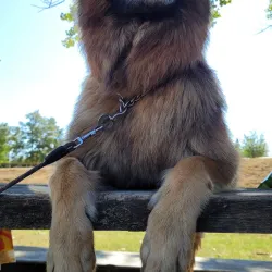 La Isla Park - Palencia