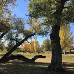 La Isla Park - Palencia