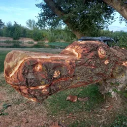 La Isla Park - Palencia