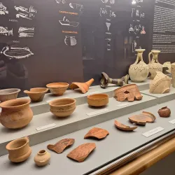 Palencia Archaeological Museum - Palencia