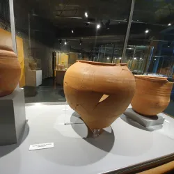 Palencia Archaeological Museum - Palencia