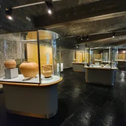 Palencia Provincial Museum - Palencia