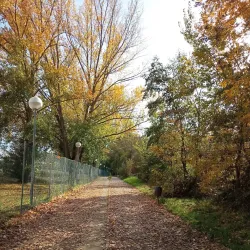 Ribera Sur Park - Palencia