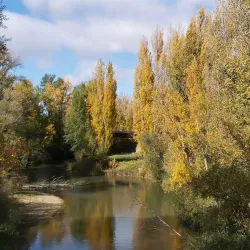 Ribera Sur Park - Palencia