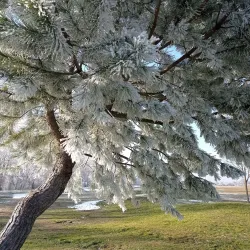 Ribera Sur Park - Palencia