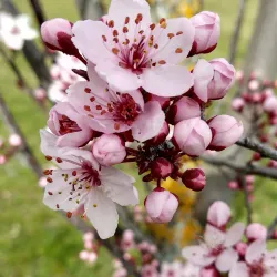 Ribera Sur Park - Palencia