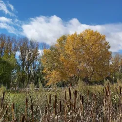 Ribera Sur Park - Palencia