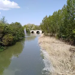San Miguel Church - Palencia