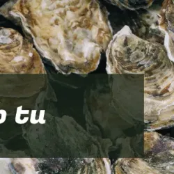 Mercat de l'Olivar - Palma de Mallorca