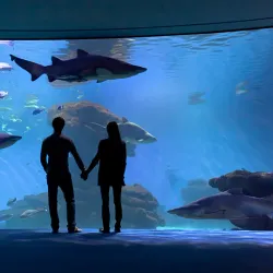 Palma Aquarium - Palma de Mallorca