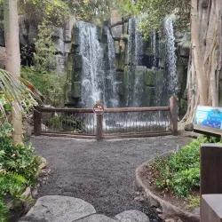 Palma Aquarium - Palma de Mallorca