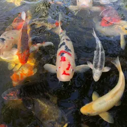 Palma Aquarium - Palma de Mallorca