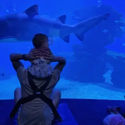 Palma Aquarium - Palma de Mallorca