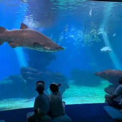 Palma Aquarium - Palma de Mallorca