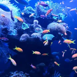 Palma Aquarium - Palma de Mallorca