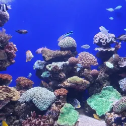 Palma Aquarium - Palma de Mallorca