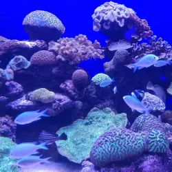 Palma Aquarium - Palma de Mallorca
