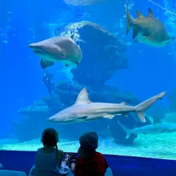 Palma Aquarium - Palma de Mallorca