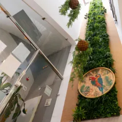 Palma Old Town - Palma de Mallorca